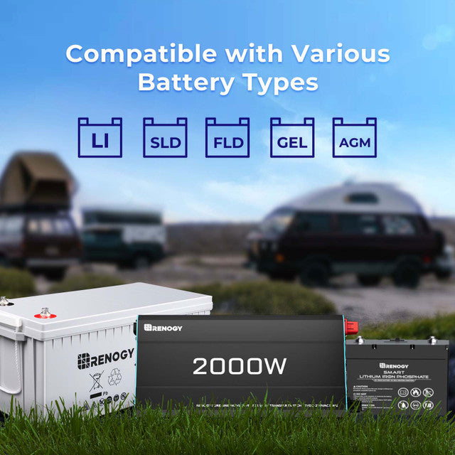 Renogy 2000W 12V to 230V/240V Pure Sine Wave Inverter (with UPS)