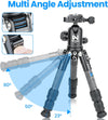 Weyllan Mini GX2 Tripod with B5 Ballhead