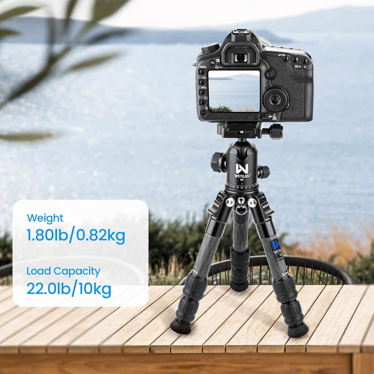 Weyllan Mini GX2 Tripod with B5 Ballhead