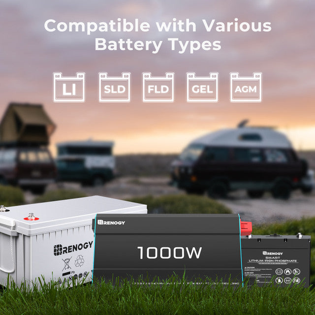 Renogy 1000W Pure Sine Wave Power Inverter (with UPS)