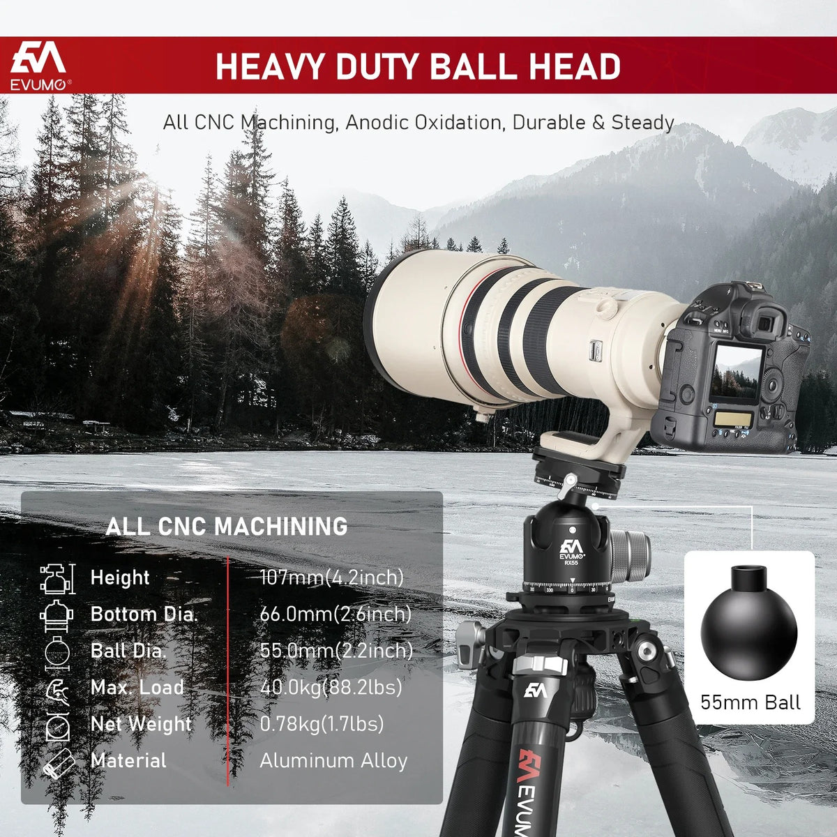 Evumo RX55 Ballhead
