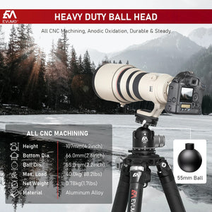 Evumo RX55 Ballhead