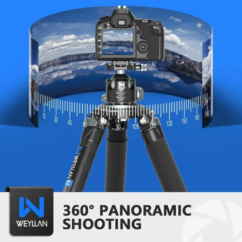 Weyllan DH52 Ballhead – Dark Clear Skies UK