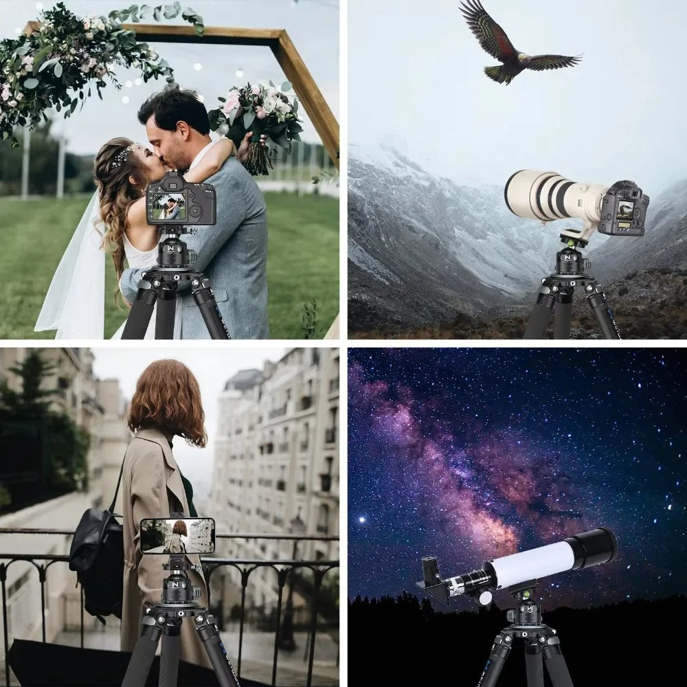 Weyllan DH52 Ballhead – Dark Clear Skies UK