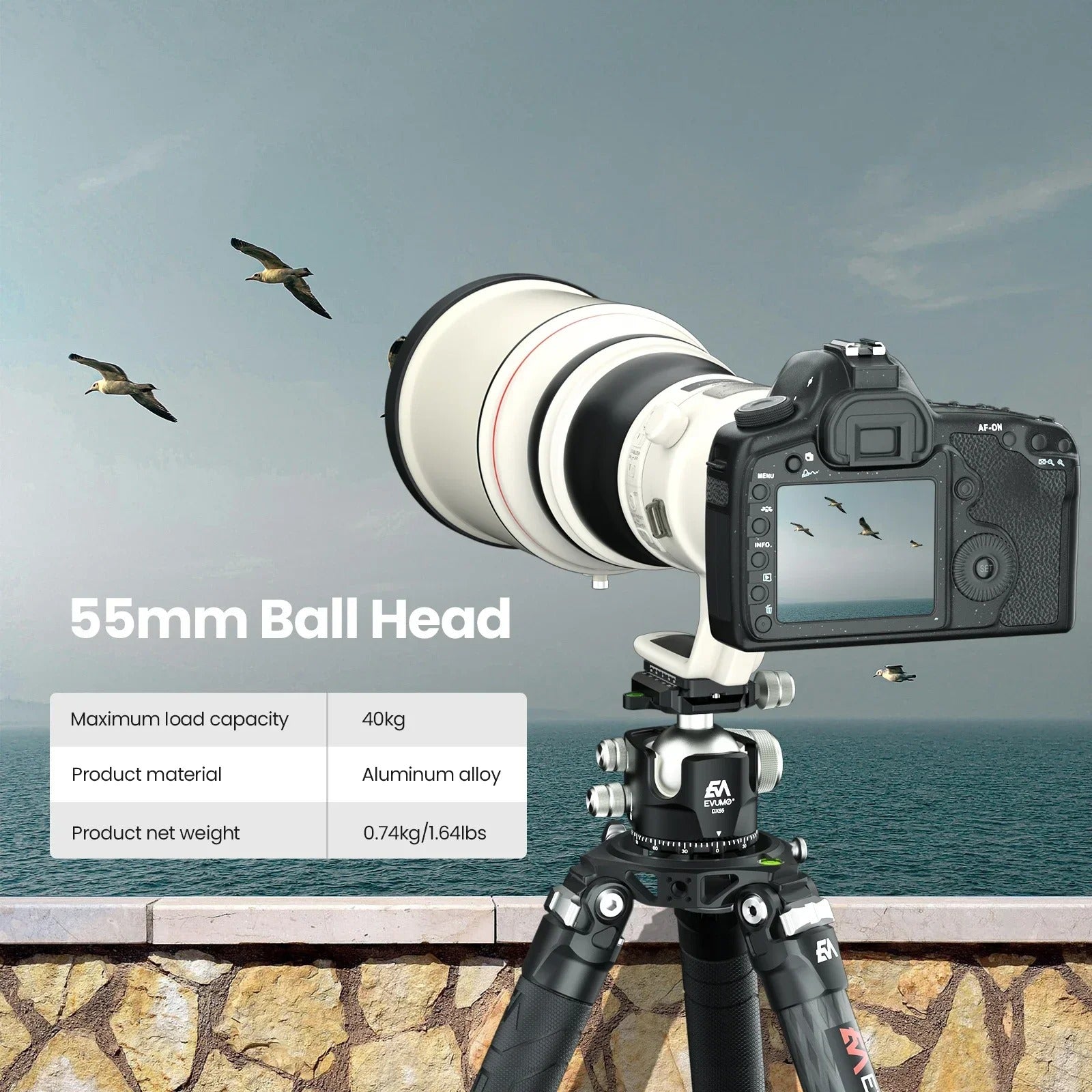 EVUMO DX55 Professional Ballhead – Dark Clear Skies UK