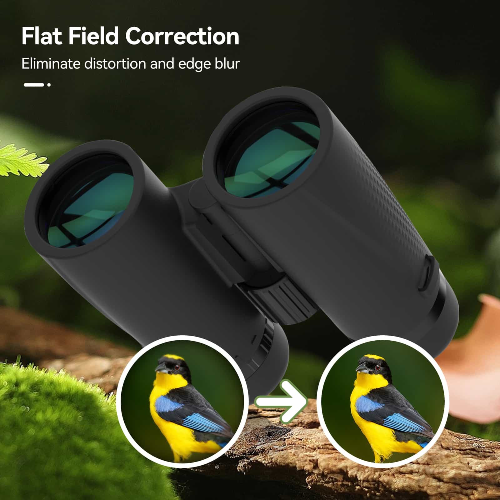 SA205 8x42 ED Flat-field Binoculars With BaK-4 Prism IP67